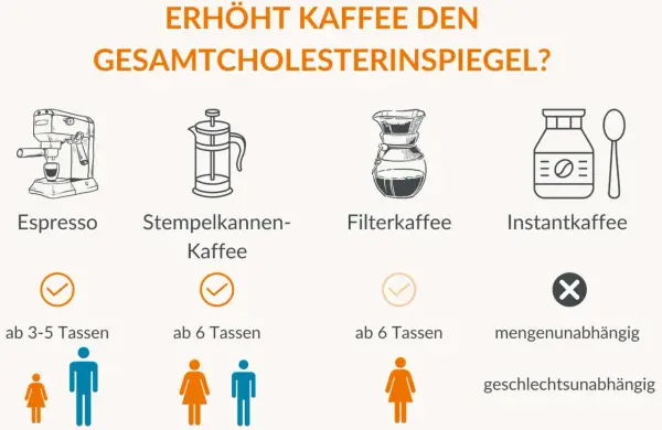 Filterkaffee beeinflusst den Cholesterinspiegel weniger als andere Kaffeearten. Die Grafik zeigt, wie verschiedene Zubereitungen wirken.